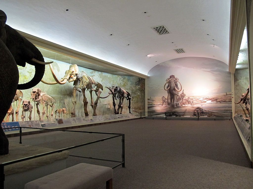 Interior of the University of Nebraska State Museum