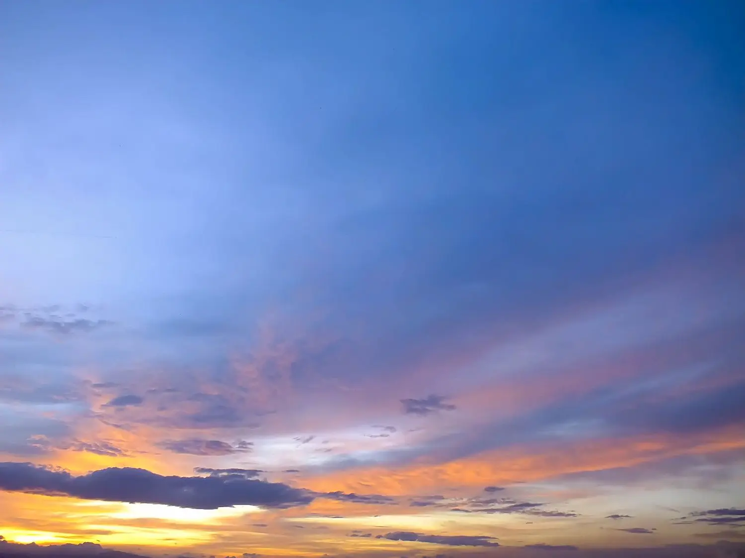15 Best Things to Do in Valrico, FL