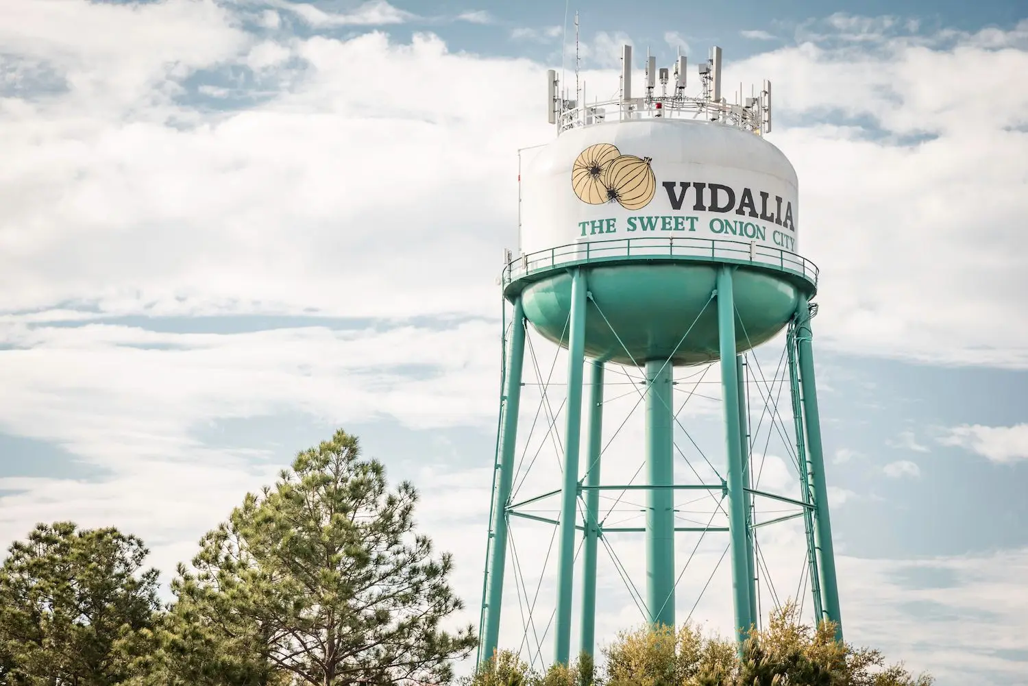 15 Best Things to Do in Vidalia, GA