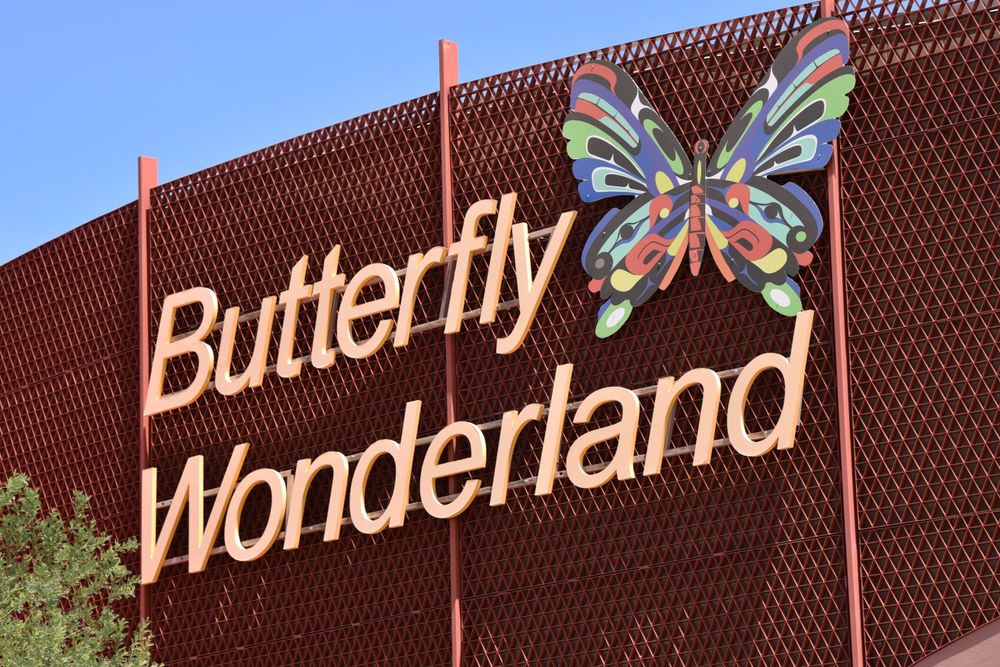 View of Butterfly Wonderland