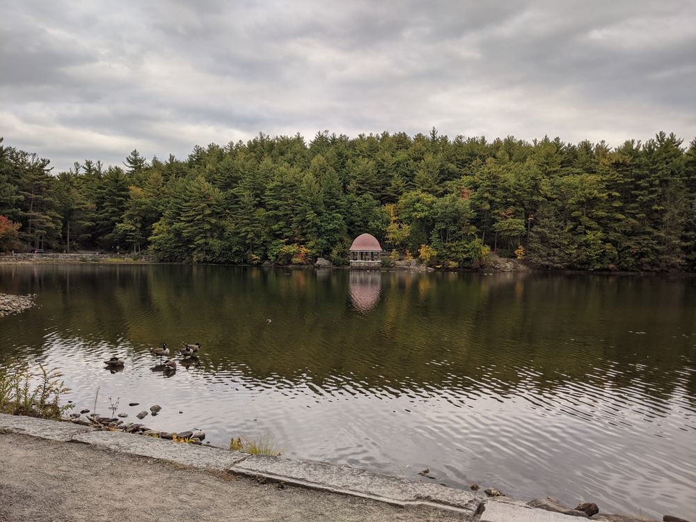 View of Coggshall Park