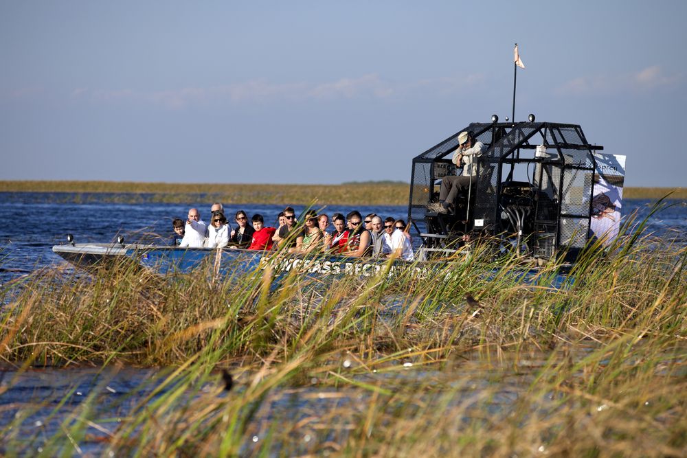 Nature at Sawgrass Recreation Park