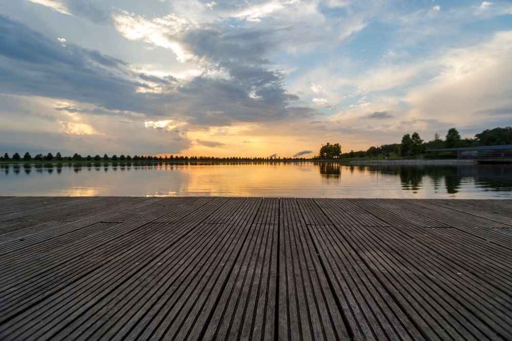 View of Shelby Farms Park