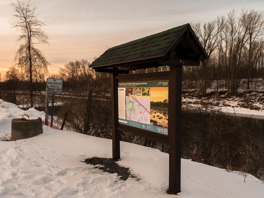 Scenic view of Utica Marsh Wildlife Management Area
