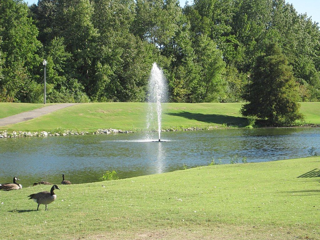 Canadian Geese at Yale Road Neighborhood Park in Bartlett, TN