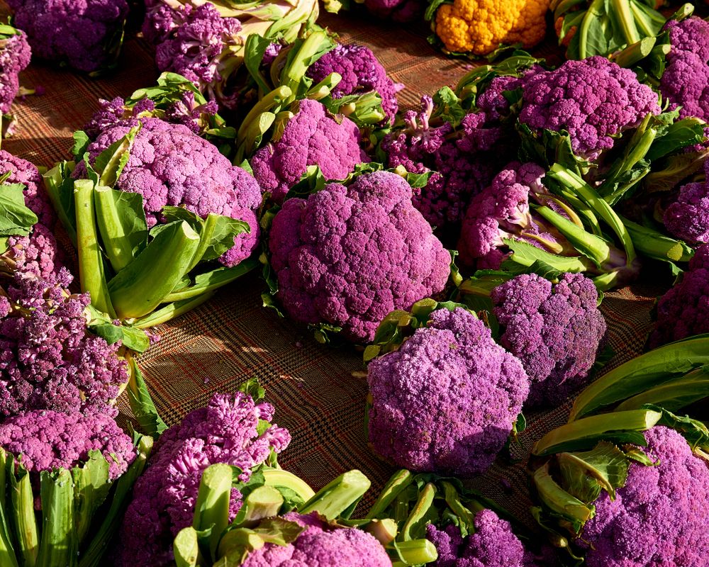 Fresh purple cauliflower at Vista Farmers Market