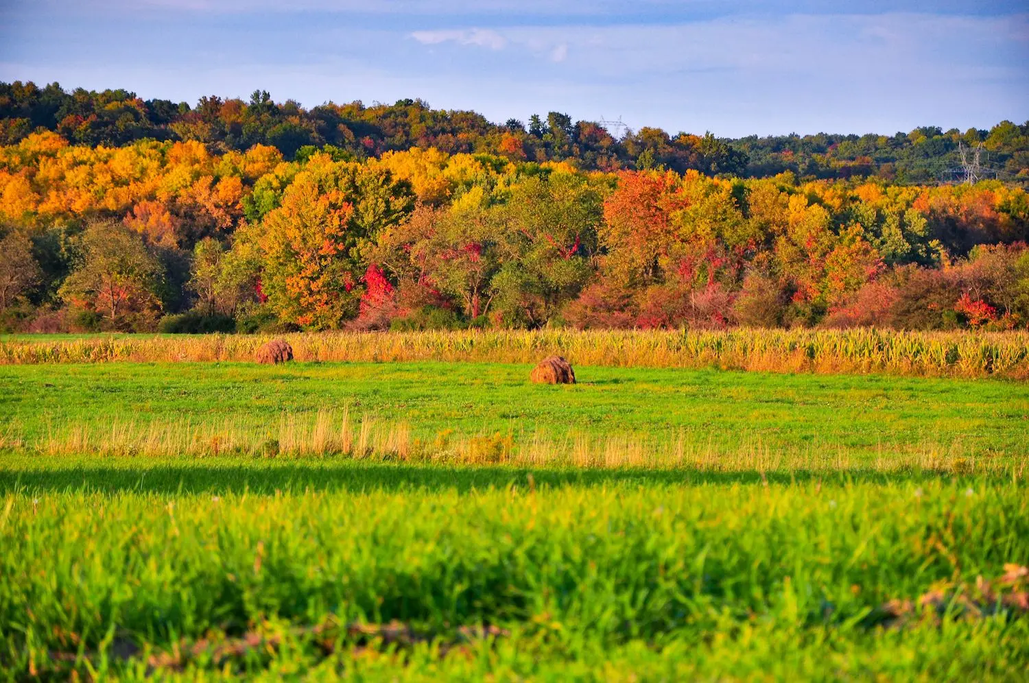 15 Best Things to Do in Wadsworth, OH