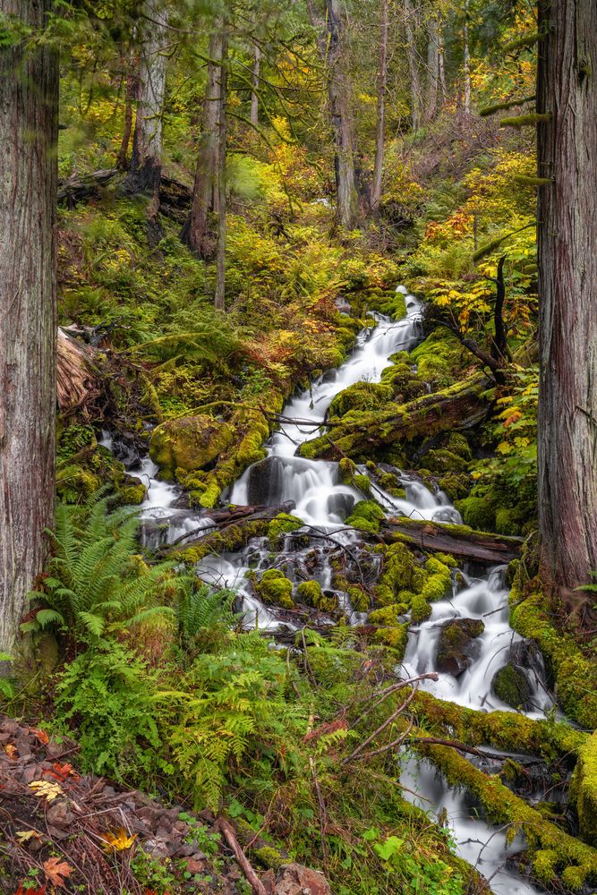 Creek flowing from the Wahkeena Falls