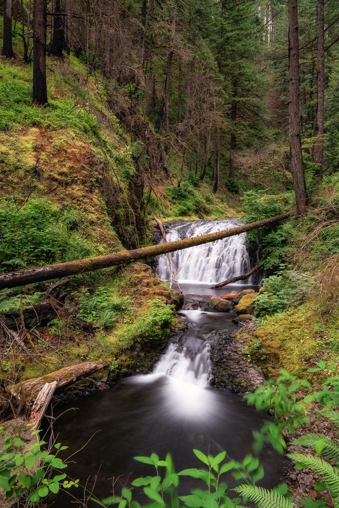 Scenic views along the hike towards the Wahkeena Falls