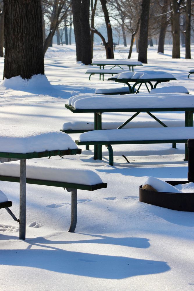 Snow covered benches at Walnut Woods State Park