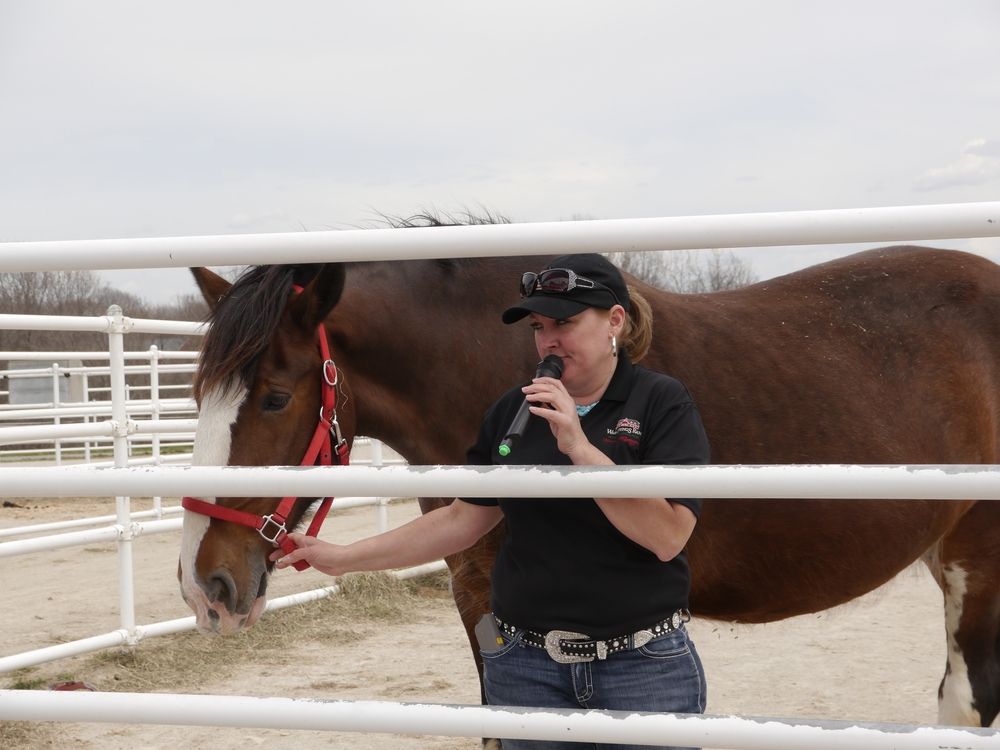 A trainer with a horse at Warm Spring Ranch