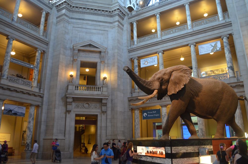 Natural history museum at Washington, D.C.