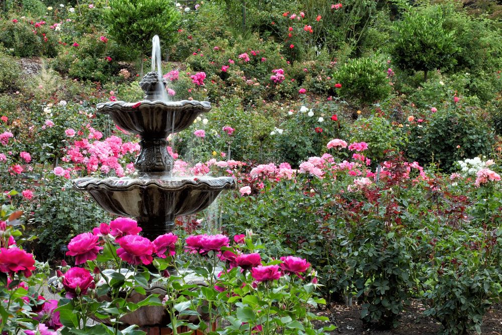Washington Park in Portland, Oregon