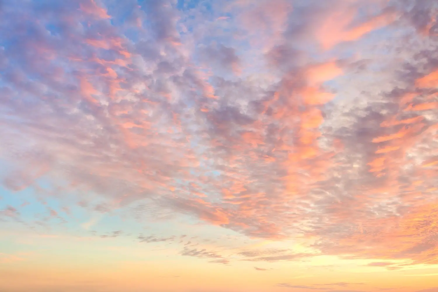 15 Best Things to Do in Waukegan, IL