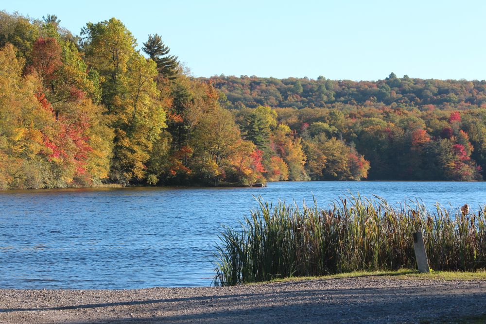Wawayanda Lake at Wawayanda State Park