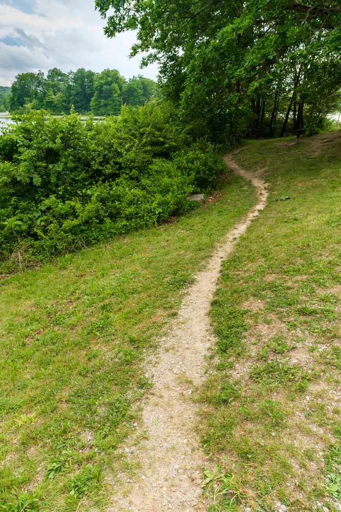 Trail at Wawayanda State Park