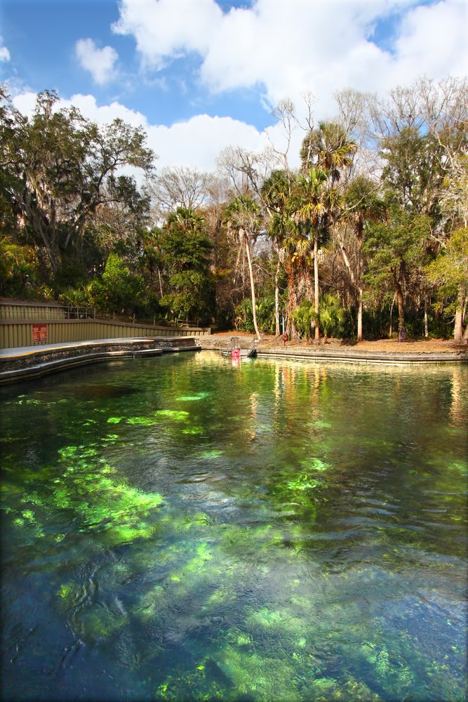 Crystal clear water at Wekiwa Springs State Park