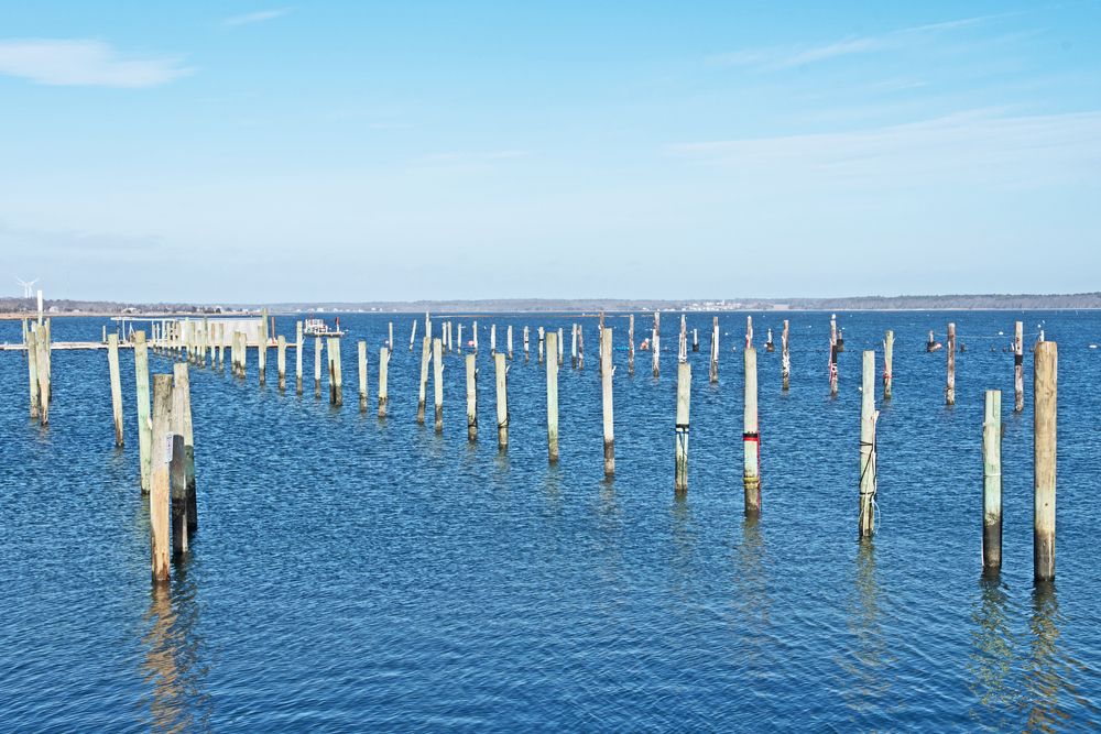Pilings in West Island Marina