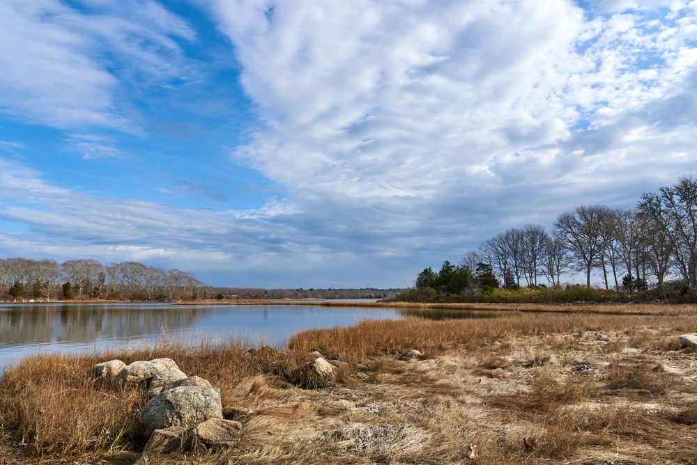 Westport River on a sunny day