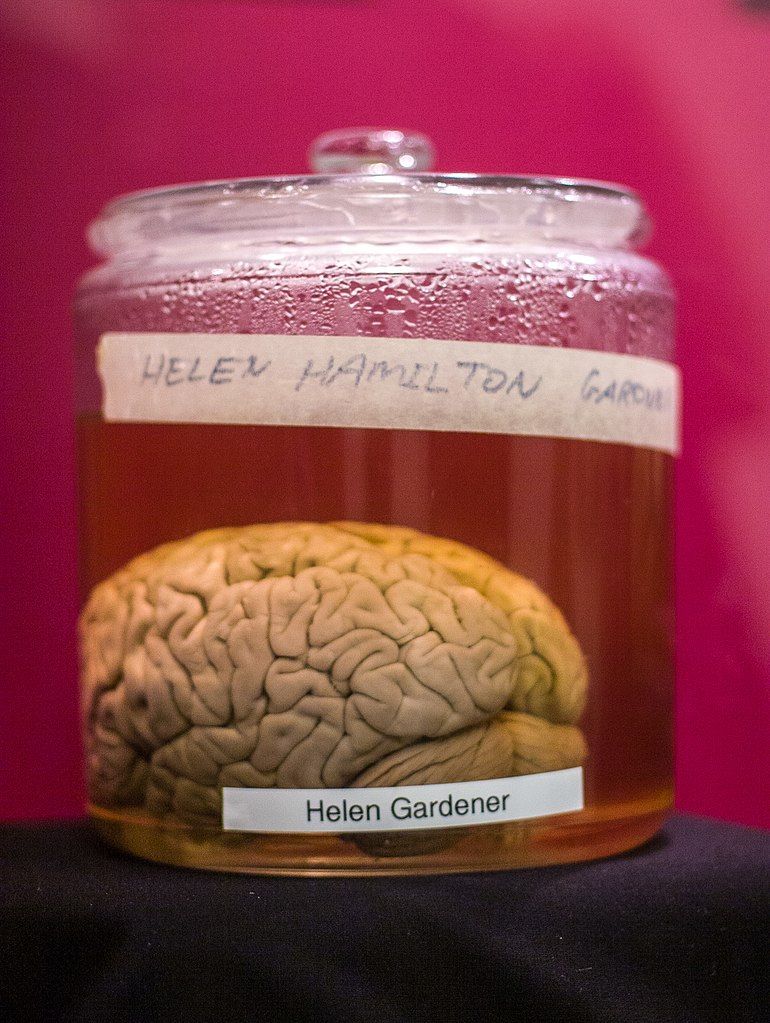 Wilder Brain collection in cornell university