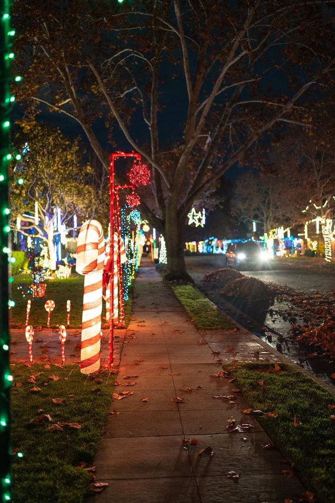 Christmas decorations at Willow Glen