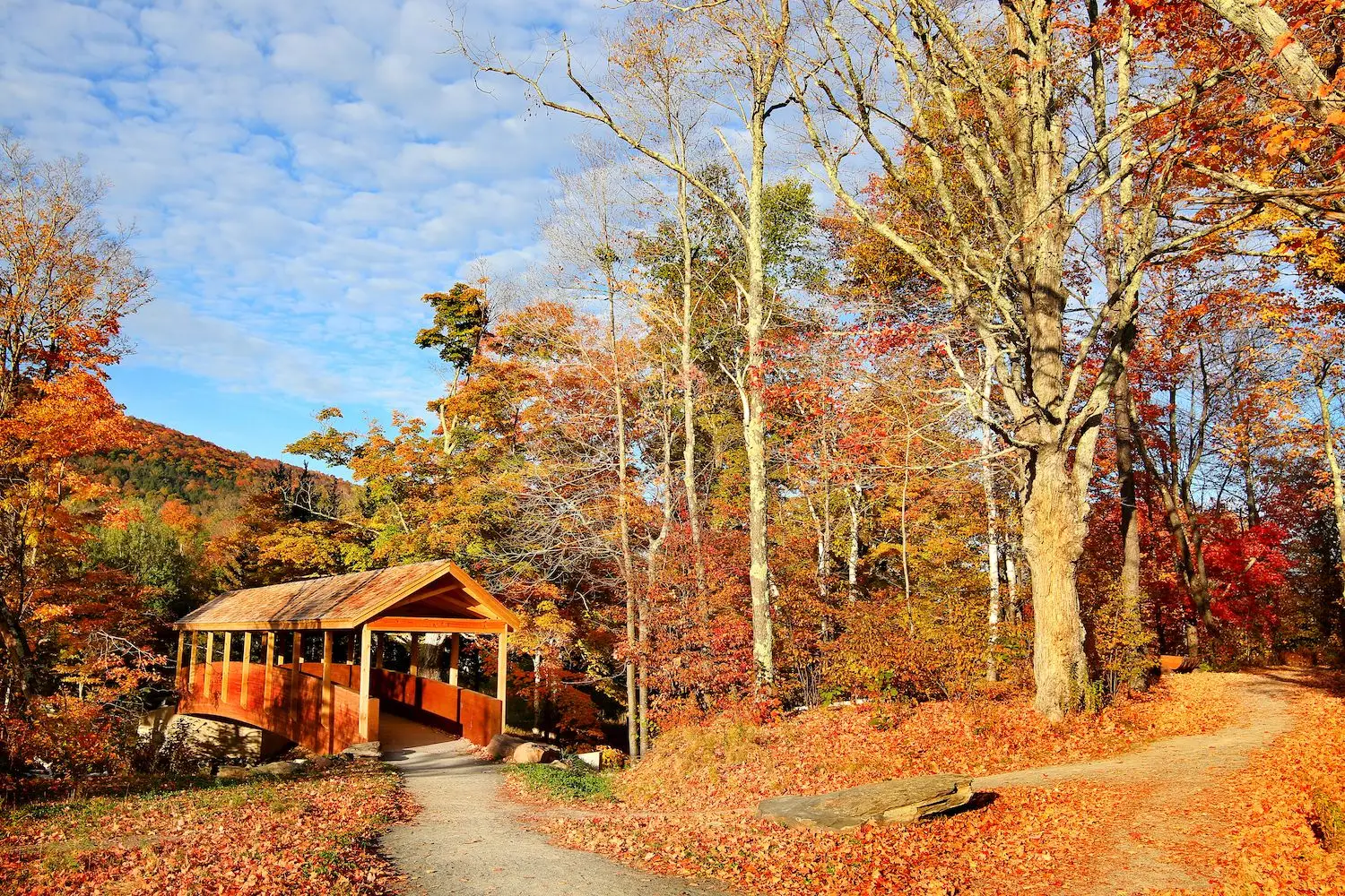 20 Best Things to Do in Windham, NY