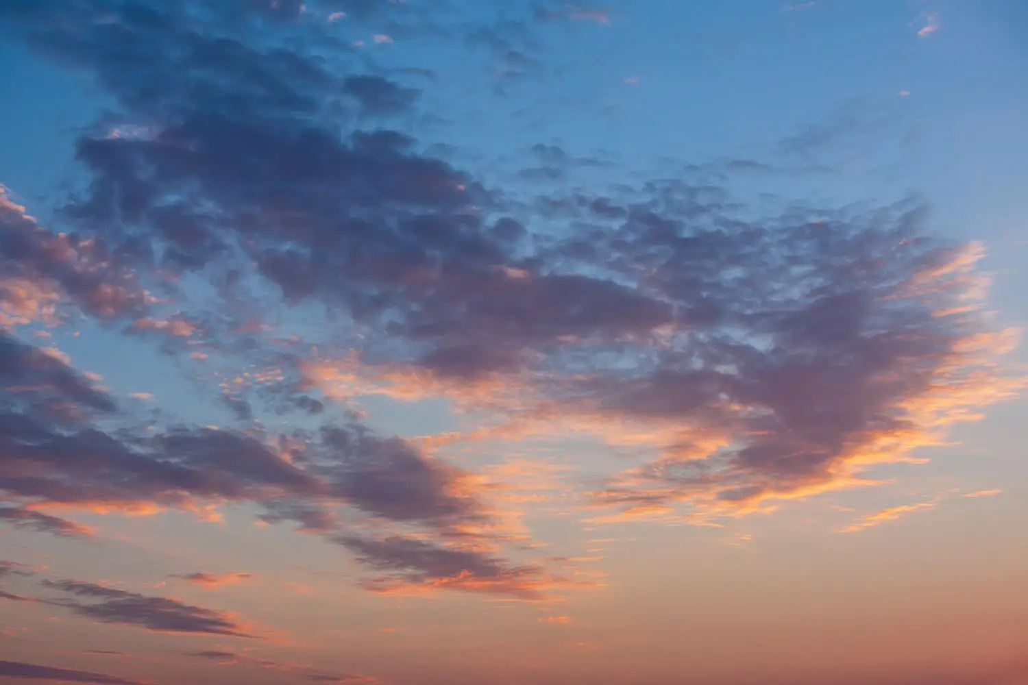 15 Best Things to Do in Winnsboro, TX