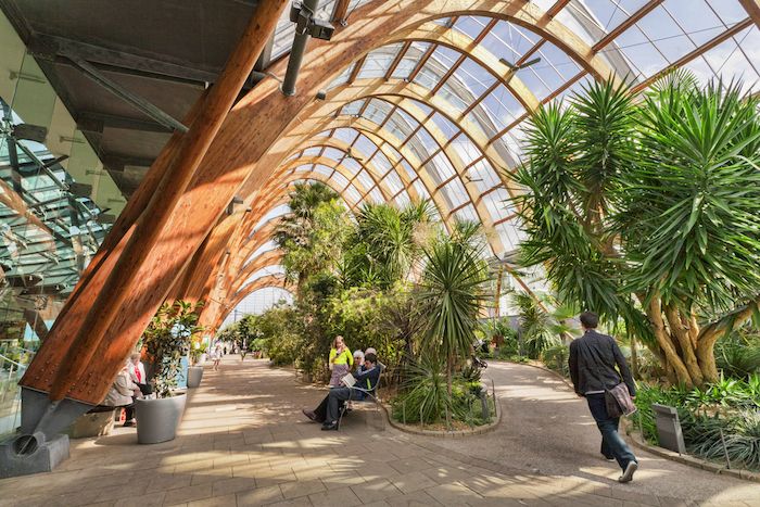 Winter Garden Sheffield
