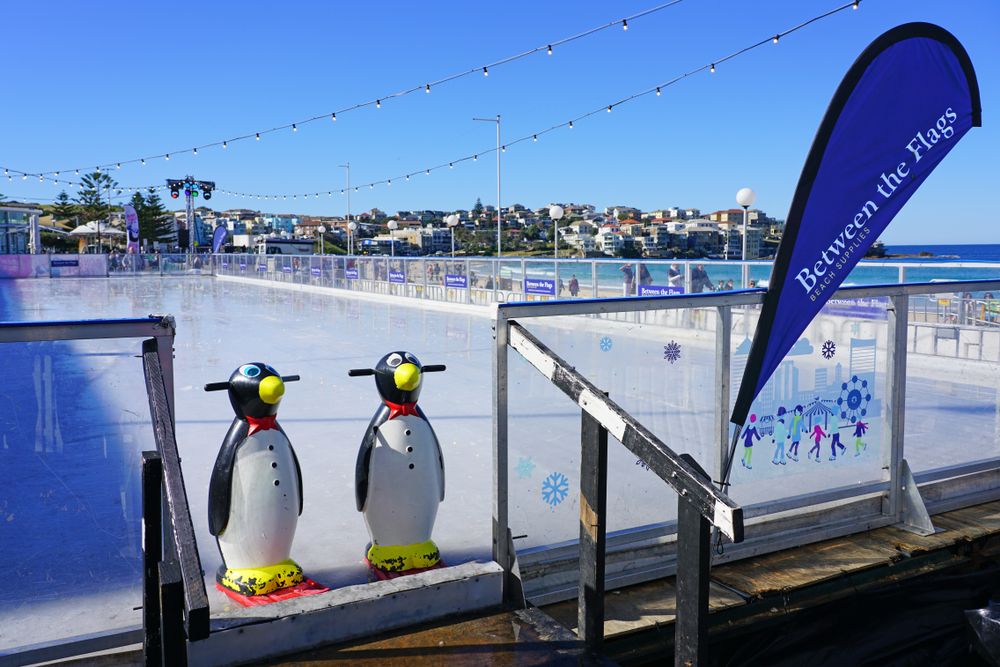 Bondi Winter Magic