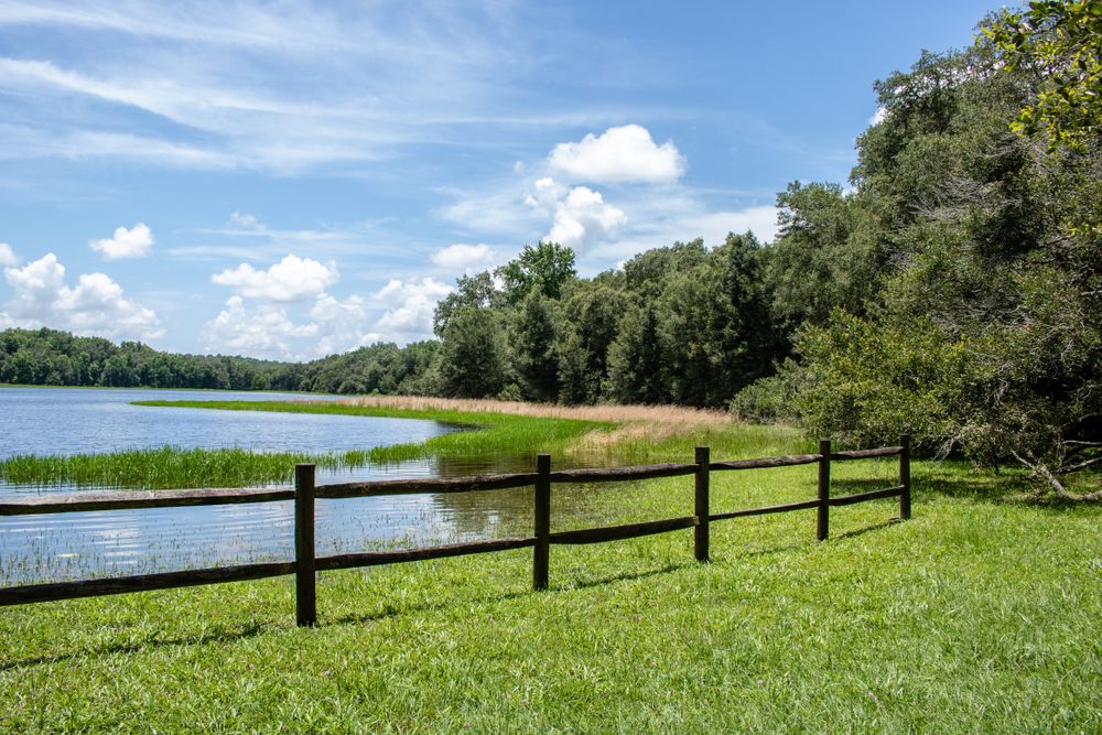 Lake at Withlacoochee State Forest