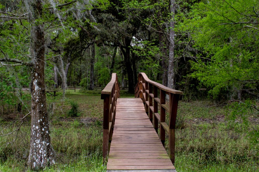 Wooden pedestrian bridge at Withlacoochee State Forest