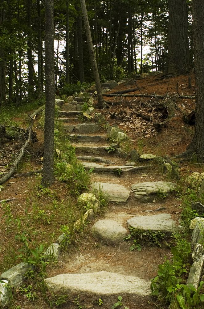 Hiking trail at Wolfe's Neck Woods State Park