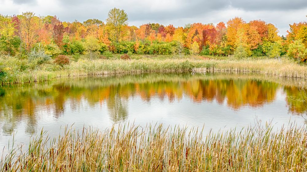 Pond at Woodland Hills Nature Park during autumn