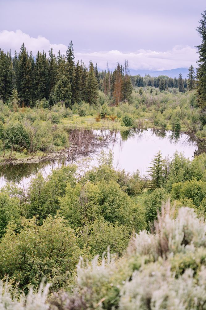 Snake river running along the Wyoming Highway 390
