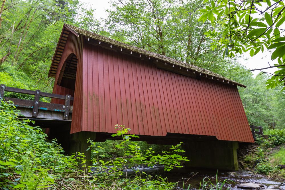 View from under North Fork Yachats Covered Bridge
