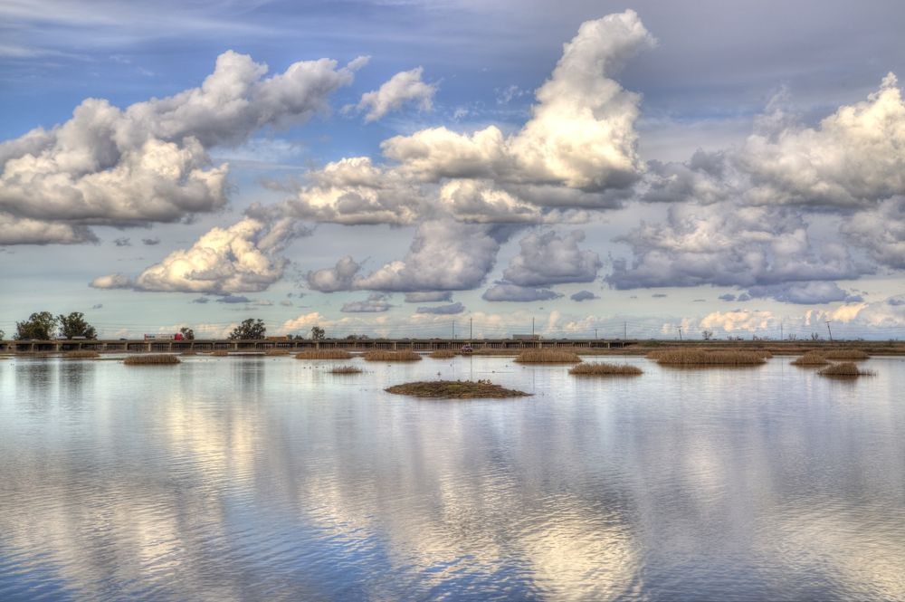 Scenic view of Yolo Bypass Wildlife Area
