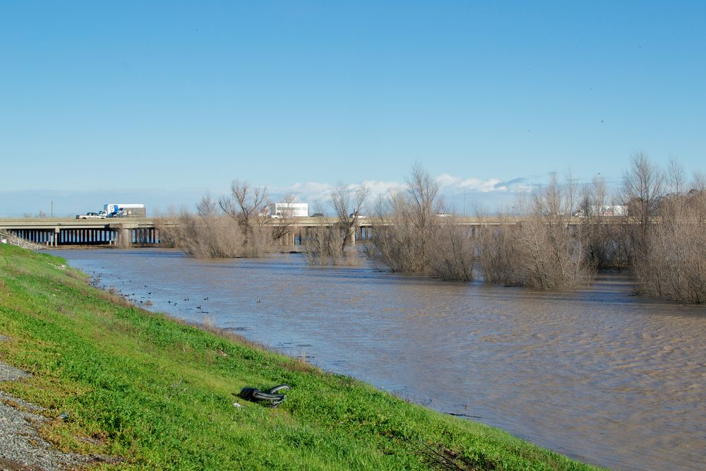 A river at Yolo Bypass Wildlife Area