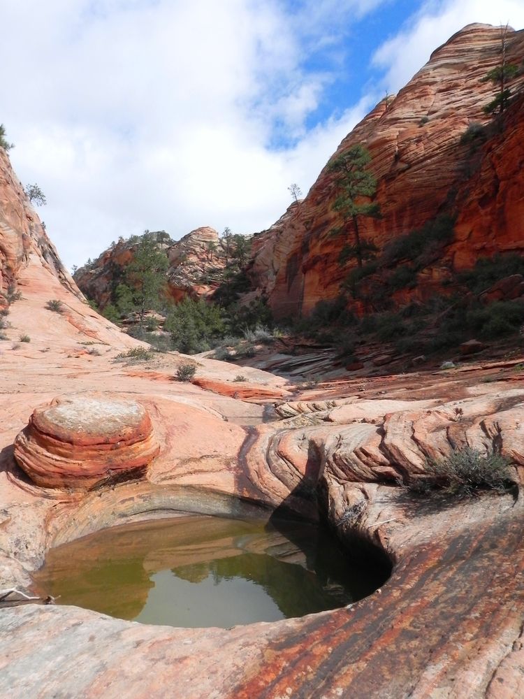 Potholes at Zion National Park