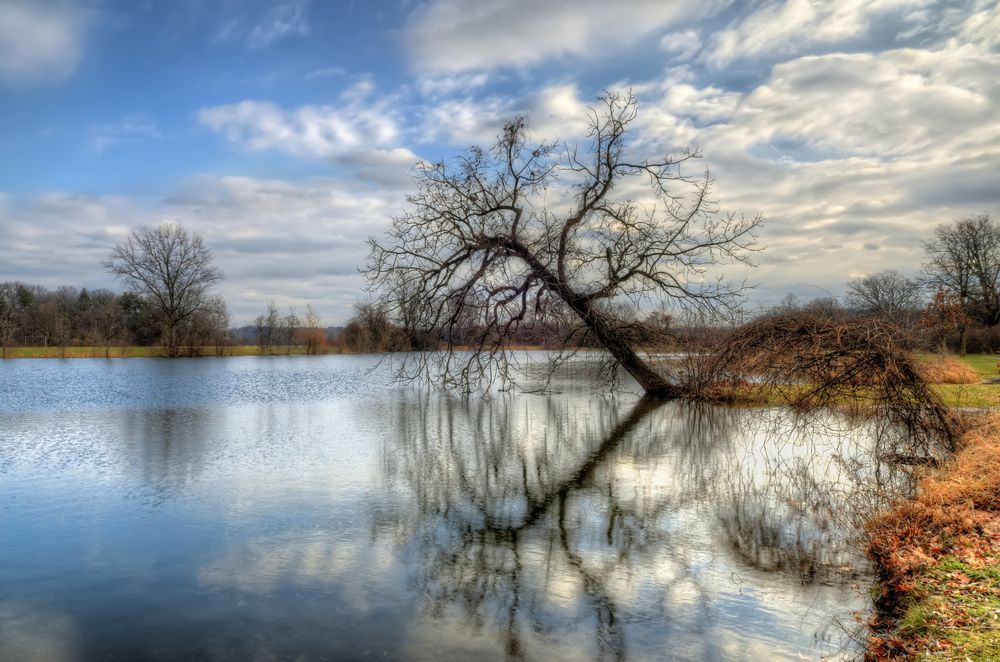 The waters of Gallup Park
