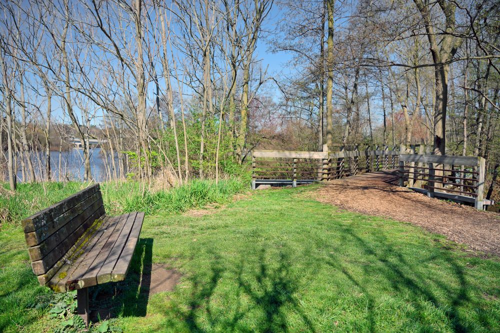 Wooden bench at Gallup Park