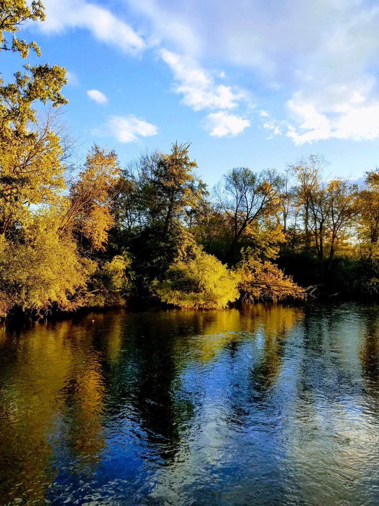 The waters of Huron River