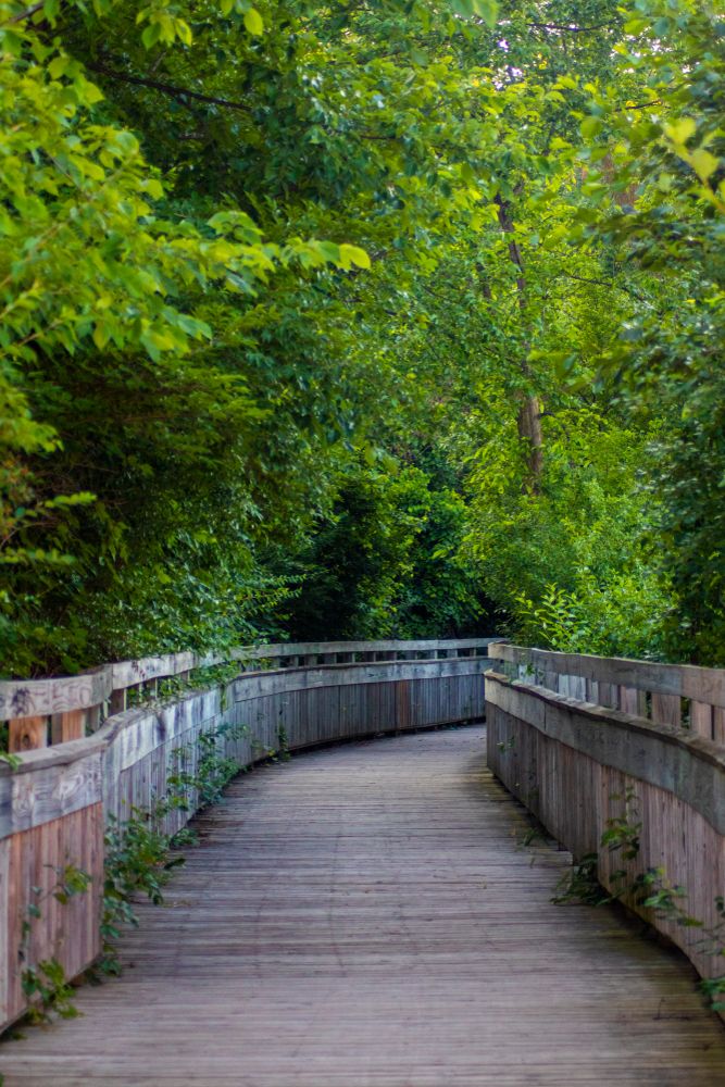 Boardwalk trail at Huron River
