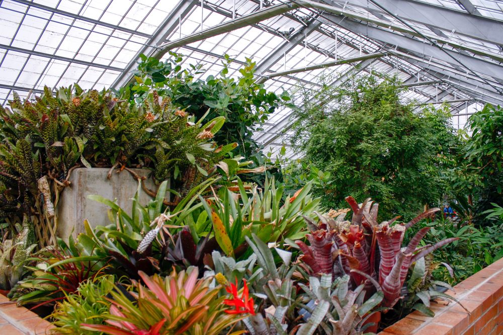 Flora at Matthaei Botanical Gardens