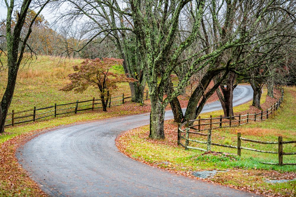 Curved road trail at James Monroe's Highland