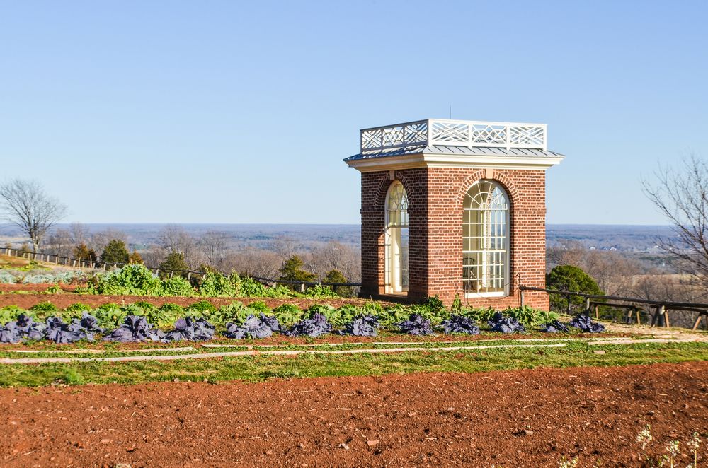 The grounds of the Monticello