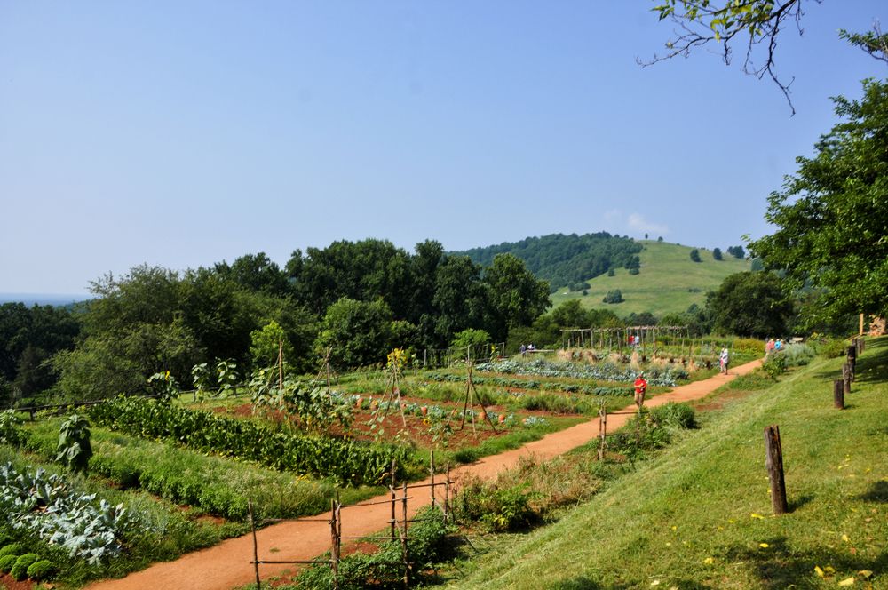 A garden at the Monticello