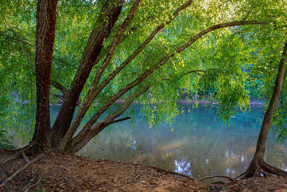 Rivanna river at Riverview Park