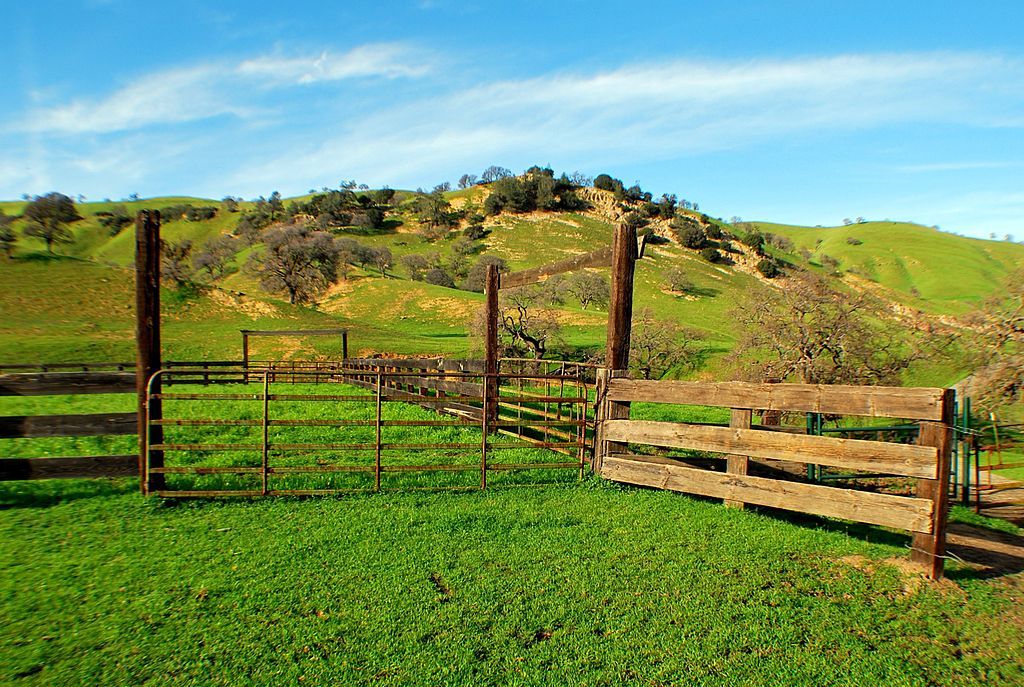 Landscape of Black Diamond Mines Regional Preserve