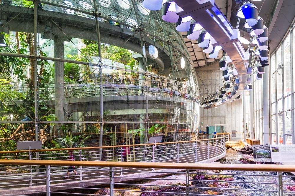 Interior of California Academy of Sciences