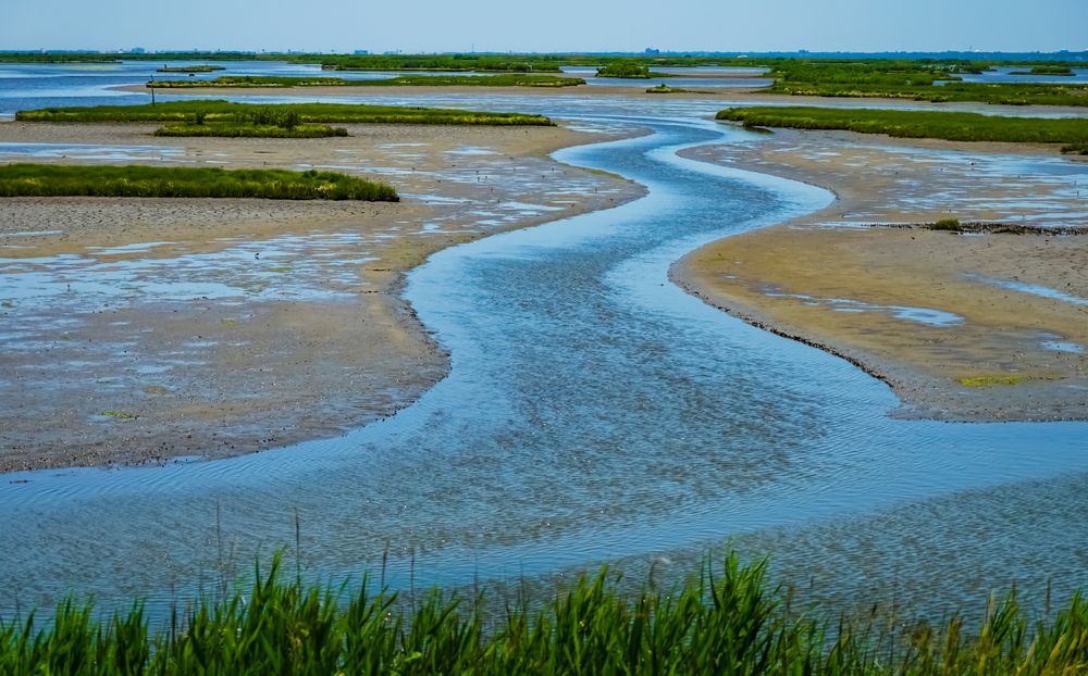 The waters of Forsythe National Wildlife Refuge